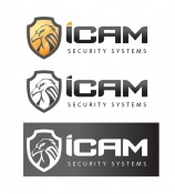 iCAM iCAM